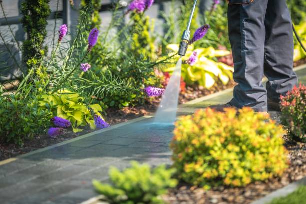 Professional Pressure Washing in Jamesport, NY